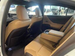 
										Lexus ES 2018 300h Premium Edition, National VI full									