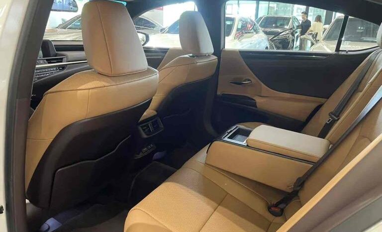 
								Lexus ES 2018 300h Premium Edition, National VI full									