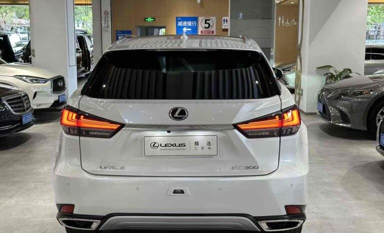 
								Lexus RX 2020 facelift 300 four-wheel drive Elegance edition full									