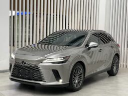 
										Lexus RX New Energy 2023 450h+ Four-wheel Drive Enjoyment Edition full									