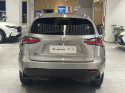 
										Lexus NX 2016 200 All-wheel Drive Premium Edition full									