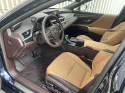 
										Lexus ES 2020 300h Premium Edition full									