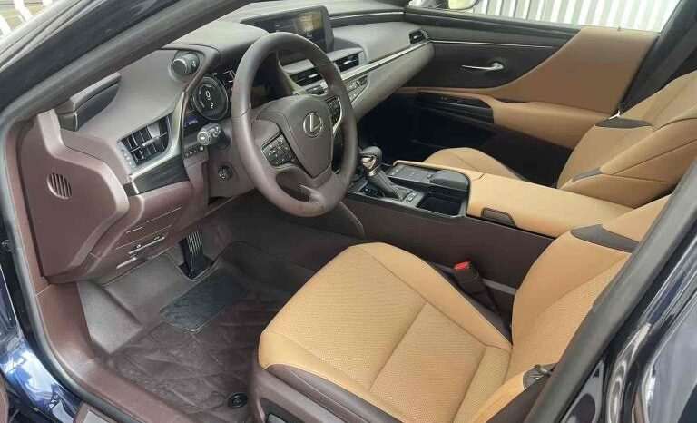 
								Lexus ES 2020 300h Premium Edition full									