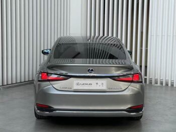 Lexus ES 2020 300h Premium Edition