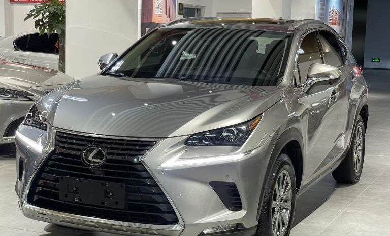 
								Lexus NX 2020 200 All-wheel Drive Premium Edition China V full									