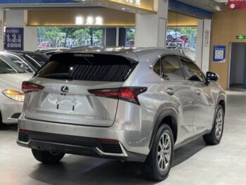 Lexus NX 2020 200 All-wheel Drive Premium Edition China V
