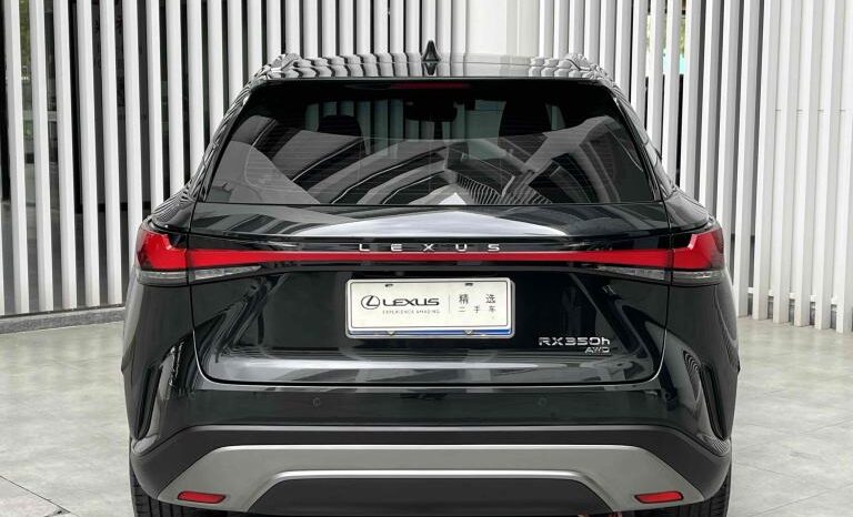 
								Lexus RX 2023 350h Four-wheel Drive Premium Edition full									