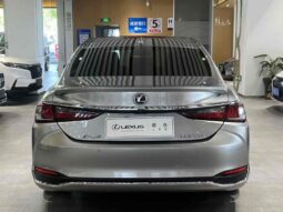 
										Lexus ES 2018 300h Premium Edition, National VI full									