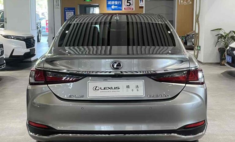 
								Lexus ES 2018 300h Premium Edition, National VI full									