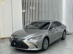 
										Lexus ES 2020 300h Premium Edition full									