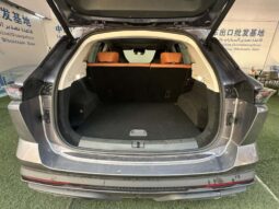 
										Jetour Dasheng 2024 full									