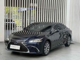 
										Lexus ES 2020 300h Premium Edition full									