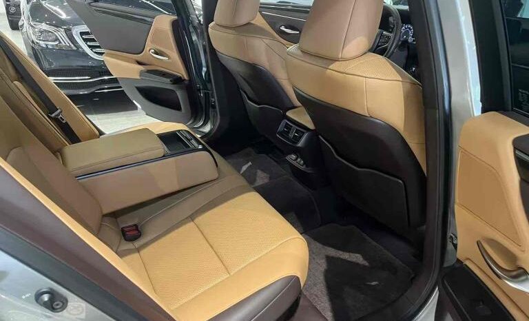 
								Lexus ES 2018 300h Premium Edition, National VI full									