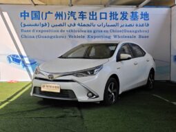 
										Toyota Lei Ling Hybrid full									
