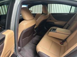 
										Lexus ES 2020 300h Premium Edition full									