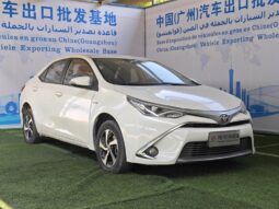 
										Toyota Lei Ling Hybrid full									