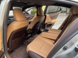
										Lexus ES 2020 300h Premium Edition full									