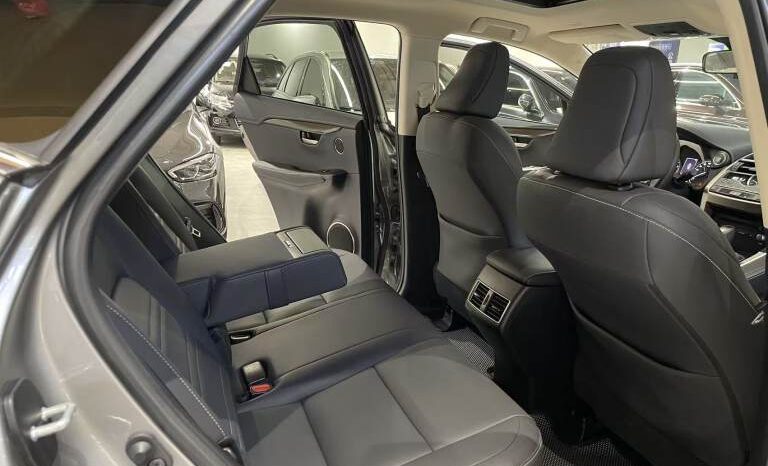 
								Lexus NX 2020 200 All-wheel Drive Premium Edition China V full									