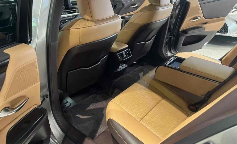 
								Lexus ES 2018 300h Premium Edition, National VI full									