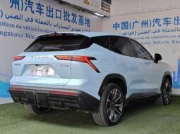 
										Jetour Dasheng i-DM version full									