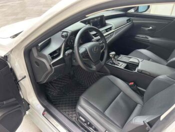 Lexus ES 2018 300h Premium Edition, National VI