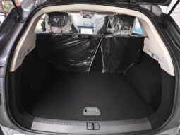 
										Jetour Great Sage DCT Beyond Edition full									