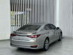 
										Lexus ES 2020 300h Premium Edition full									