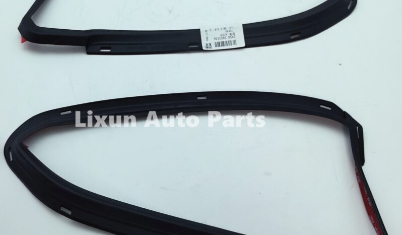 
								SX5G-2803136 Headlight rubber strip, right side, headlight – full									