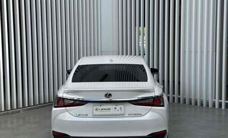 
								Lexus ES 2018 300h Premium Edition, National VI full									