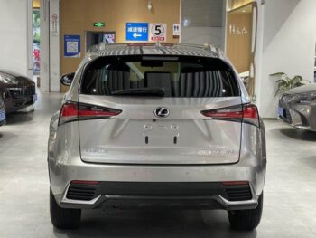 Lexus NX 2020 200 All-wheel Drive Premium Edition China V