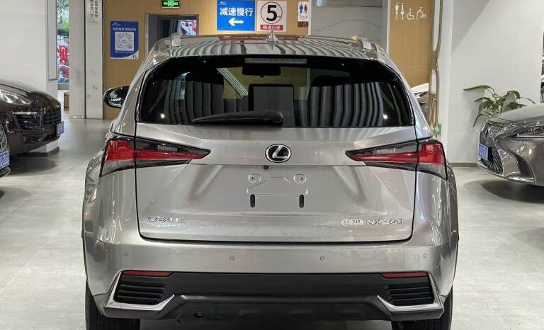 
								Lexus NX 2020 200 All-wheel Drive Premium Edition China V full									