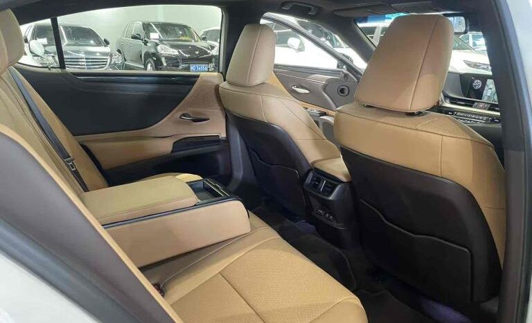 
								Lexus ES 2018 300h Premium Edition, National VI full									