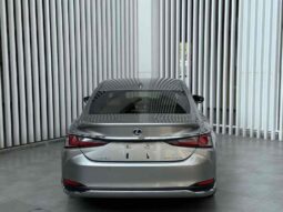 
										Lexus ES 2020 300h Premium Edition full									