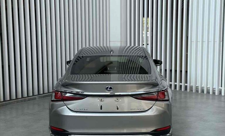 
								Lexus ES 2020 300h Premium Edition full									