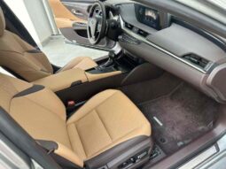 
										Lexus ES 2020 300h Premium Edition full									