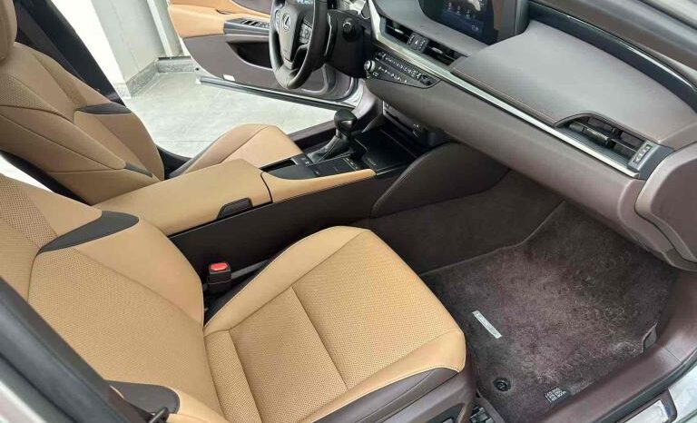 
								Lexus ES 2020 300h Premium Edition full									