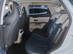 
										Jetour Dasheng i-DM version full									