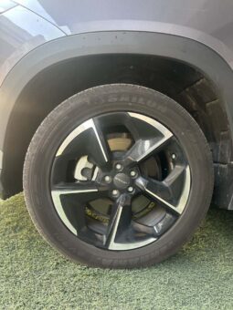 
										Jetour Dasheng 2024 full									