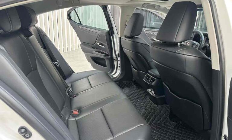 
								Lexus ES 2018 300h Premium Edition, National VI full									