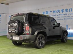 
										Jetour Traveler Customized Edition full									