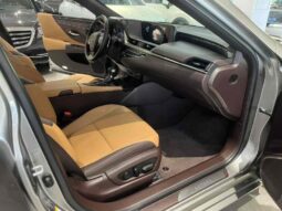 
										Lexus ES 2018 300h Premium Edition, National VI full									