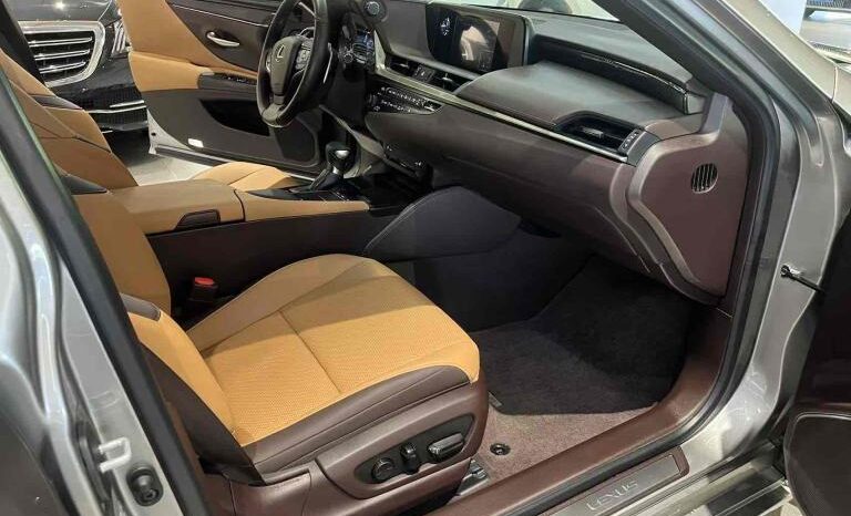 
								Lexus ES 2018 300h Premium Edition, National VI full									