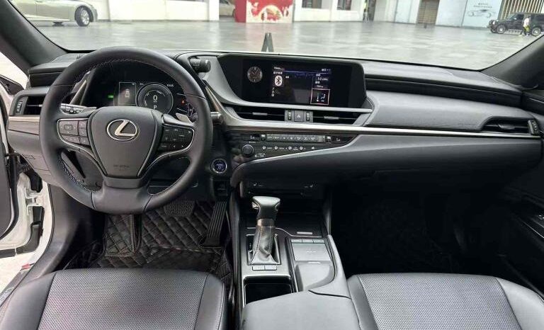 
								Lexus ES 2018 300h Premium Edition, National VI full									