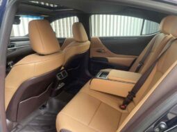 
										Lexus ES 2020 300h Premium Edition full									