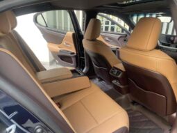 
										Lexus ES 2020 300h Premium Edition full									
