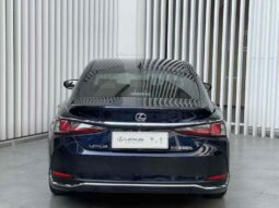 
										Lexus ES 2020 300h Premium Edition full									