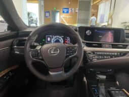 
										Lexus ES 2018 300h Premium Edition, National VI full									