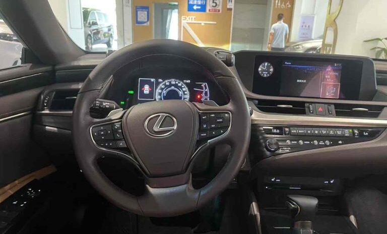 
								Lexus ES 2018 300h Premium Edition, National VI full									