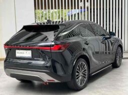 
										Lexus RX 2023 350h Four-wheel Drive Premium Edition full									