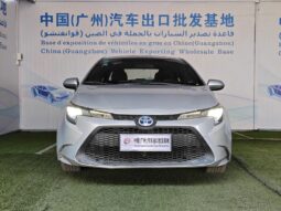 
										New Toyota Lei Ling Hybrid full									